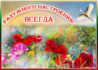 Картинка картинка пожелания хорошего настроения