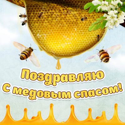 Картинка картинка пожелания на медовый спас