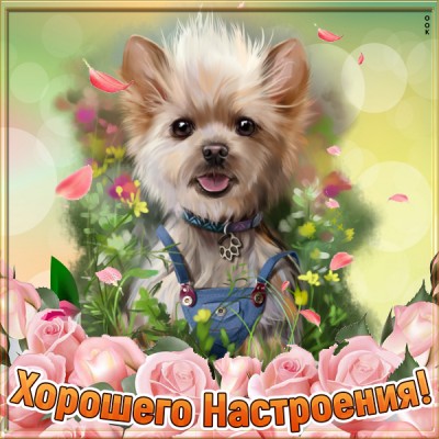 Картинка картинка прекрасного настроения