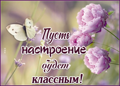 Картинка картинка прекрасного настроения