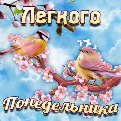 Картинка картинка прекрасного понедельника