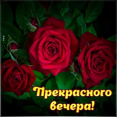 Картинка картинка прекрасного вечера
