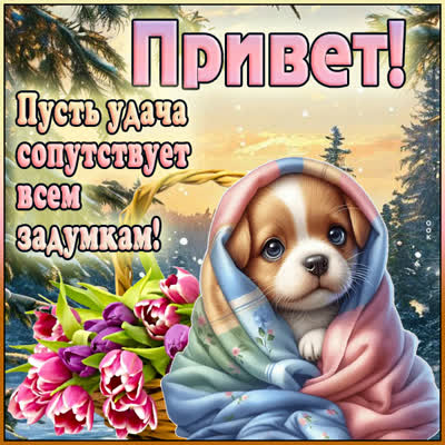 Postcard картинка привет, пусть этот день будет удивительным и ярким!
