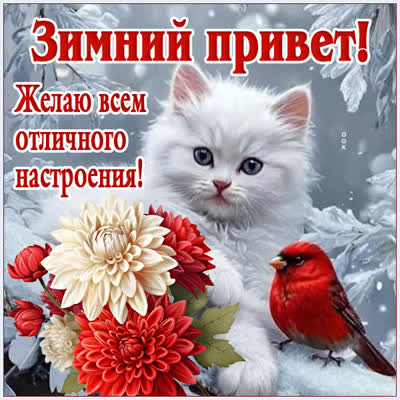 Postcard картинка привет, пусть каждый момент будет наполнен радостью