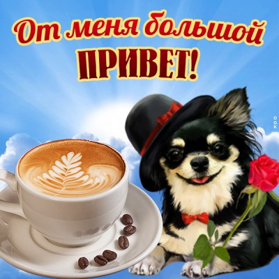 Картинка картинка привет с кофе