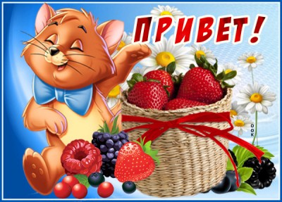 Открытка картинка привет с котикам