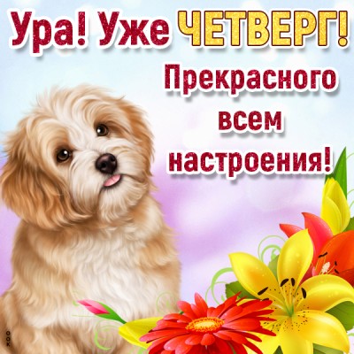 Открытка картинка приятного четверга