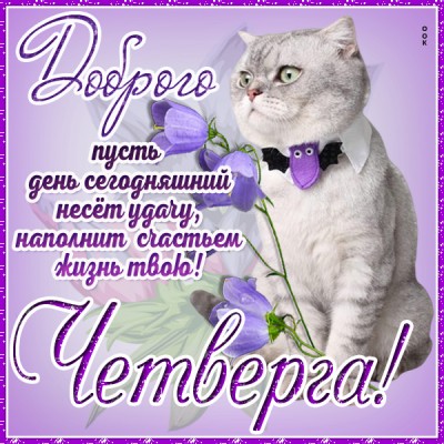 Открытка картинка приятного четверга