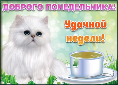Картинка картинка приятного понедельника
