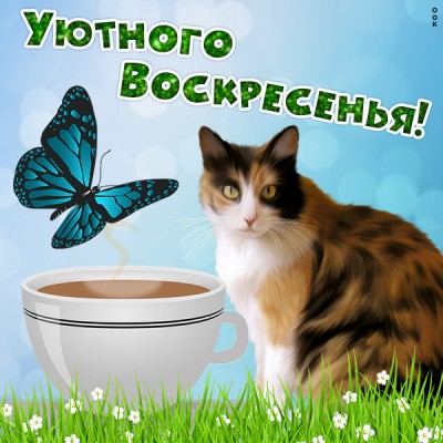 Открытка картинка приятного воскресенья