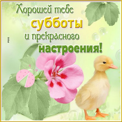 Картинка картинка приятной субботы