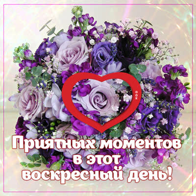Picture картинка приятных моментов в этот воскресный день !
