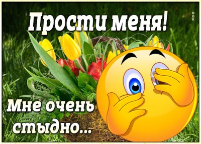 Картинка картинка прости и не сердись