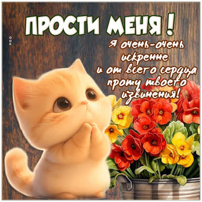 Picture картинка прости меня, мне это важно