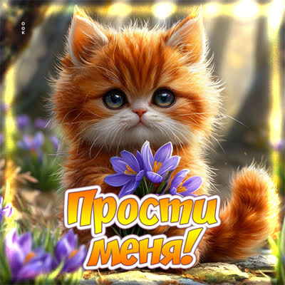 Postcard картинка прости, надеюсь, ты меня понимаешь