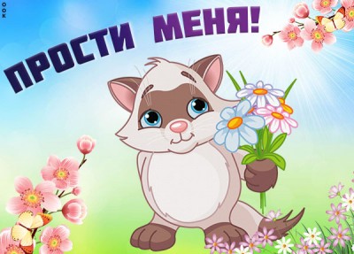 Картинка картинка прости с котиком
