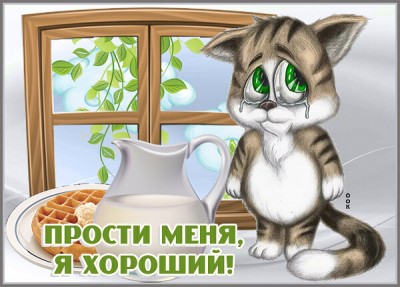 Открытка картинка прости с котиком