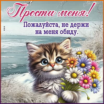 Postcard картинка прости, я не хотел(а) тебя обидеть