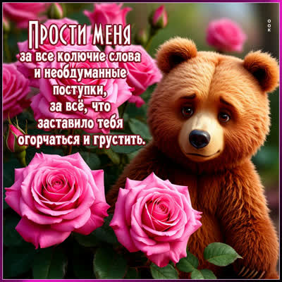 Postcard картинка прости за все колючие слова