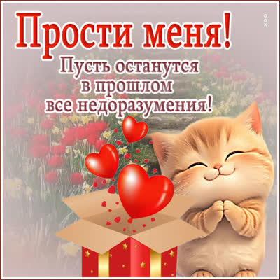 Picture картинка прости за всё, что было не так