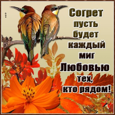 Открытка картинка пусть будет каждый миг с любовью