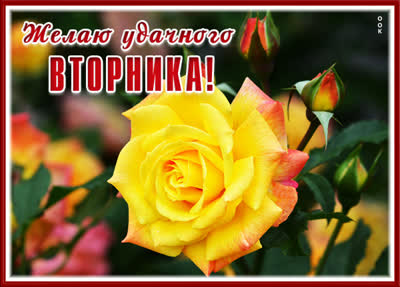 Picture картинка пусть этот вторник прекрасным будет