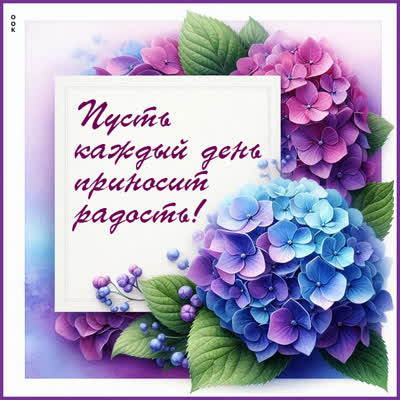 Postcard картинка пусть каждый день приносит радость