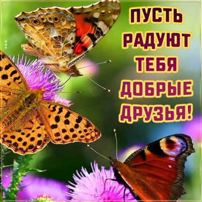 Картинка картинка пусть радуют тебя добрые друзья