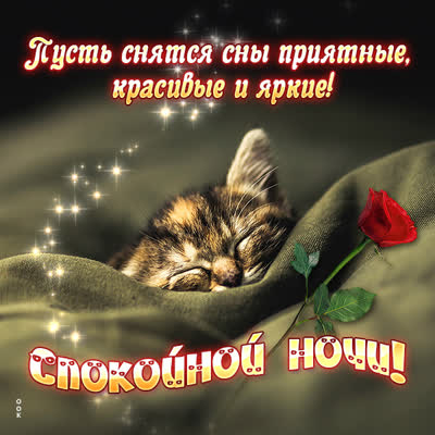 Picture картинка пусть сняться сны приятные