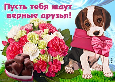 Картинка картинка пусть  тебя ждут верные друзья
