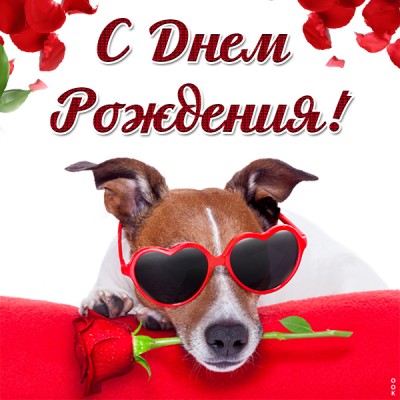 Открытка картинка с днем рождения с приколом