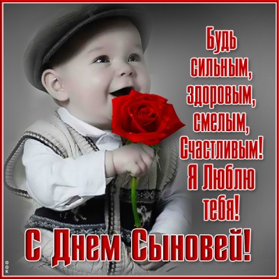 Открытка картинка с днём сыновей, здоровья и любви