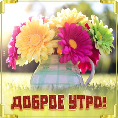 Открытка картинка с добрым утром девушке