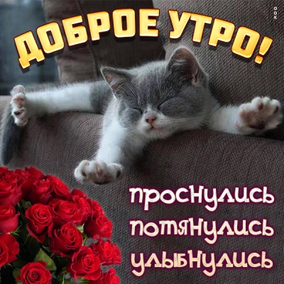 Открытка картинка с добрым утром проснулись, потянулись, улыбнулись