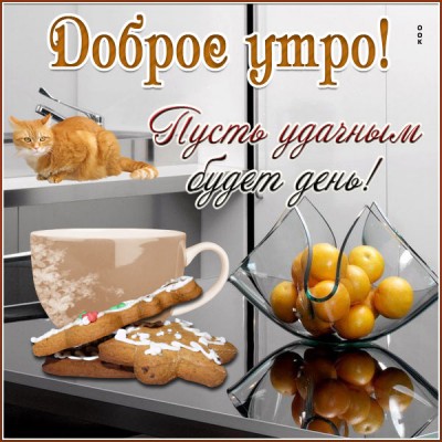 Открытка картинка с добрым утром просыпайся