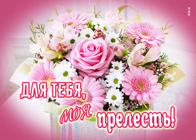 Picture картинка с красными цветами