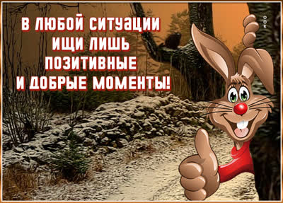 Picture картинка с кроликом