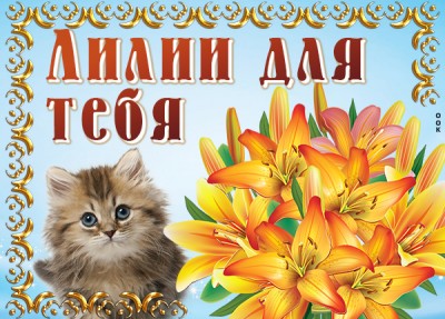 Картинка картинка с лилией с нежностью