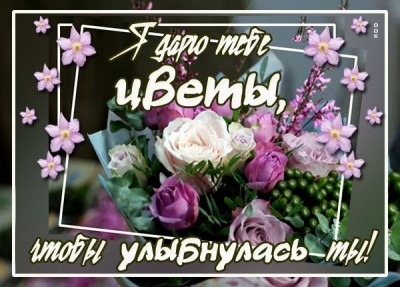 Картинка картинка с нежными цветами