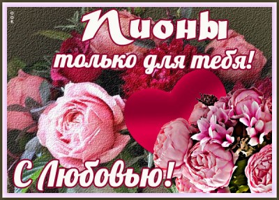 Открытка картинка с пионом с любовью