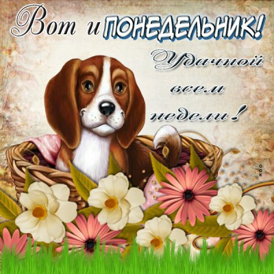 Картинка картинка с понедельником с пожеланиями