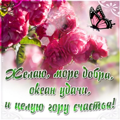 Картинка картинка с пожеланиями добра