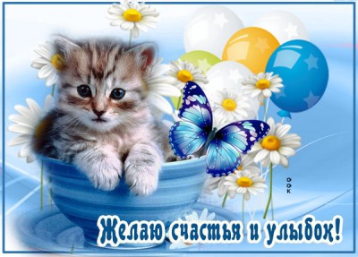 Картинка картинка с пожеланиями с котикам