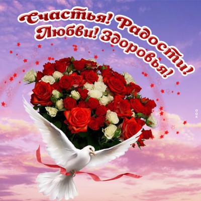 Картинка картинка с пожеланиями с розами