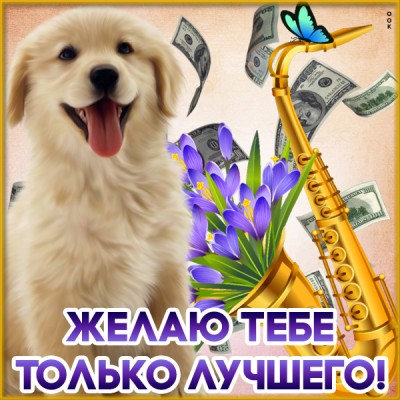 Открытка картинка с пожеланиями с собачкой