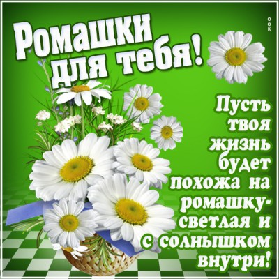 Картинка картинка с ромашками