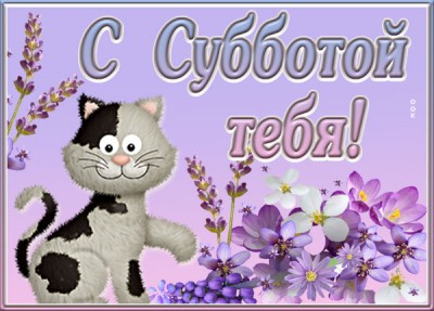 Картинка картинка с субботой тебя