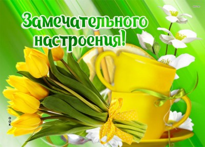 Картинка картинка с тюльпанами для настроения