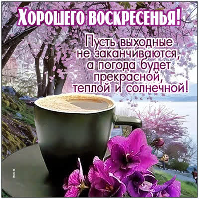 Postcard картинка с воскресеньем, пусть выходные не заканчиваются