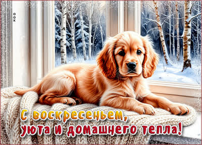 Postcard картинка с воскресеньем, уюта и домашнего тепла